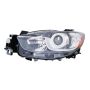 DEPO 316-1147L-UC Capa Head Lamp