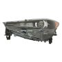 DEPO 316-1160LMUSM2 Head Lamp
