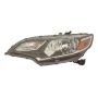 DEPO 317-1171L-ACN2 Capa Head Lamp
