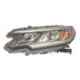 DEPO 317-1172L-ASN2 Head Lamp
