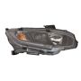 DEPO 317-1180R-ASN2 Head Lamp