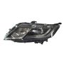 DEPO 317-1184L-ASN2 Head Lamp