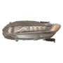 DEPO 317-1186L-AC2 Capa Head Lamp