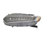 DEPO 317-1191L-AC2 Capa Lamp