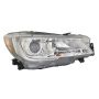DEPO 320-1135R-ACN1 Capa Head Lamp