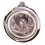 DEPO 321-2012N-AC Capa Fog Lamp