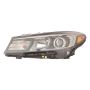 DEPO 323-1156L-ACHN2 Capa Head Lamp