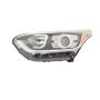 DEPO 323-1165L-ASN2 Head Lamp
