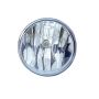 DEPO 335-2029L-AC Capa Fog Lamp