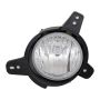 DEPO 335-2049L-AC Capa Fog Lamp