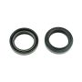 Athena P40FORK455112 04-06 Malaguti Master 50 28x38x7/9mm Fork Oil Seal Kit