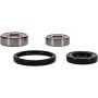 Pivot Works 25-1811-P Kawasaki Wheel Bearing Kit Premium Bearings