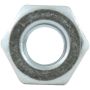 ALLSTAR PERFORMANCE ALL16000-10 Hex Nuts 1/4-20 10pk