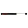 Rancho RS77269 RS7MT Shock Absorber