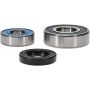 Pivot Works 25-1043-P Polaris, Suzuki Wheel Bearing Kit Premium Bearings