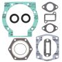 Vertex Pistons 711017 Vertex Gaskets  Jlo-cuyuna L372/L380 FC/1 Complete Gasket Kit w/ Oil Seals