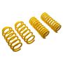 ST Sport-tech Lowering Springs 16+ BMW M2 (F87)