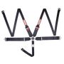 5pt Harness Camlock HNR Black SFI