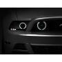 Raxiom 13-14 Ford Mustang GT CCFL Halo Fog Lights (Smoked)