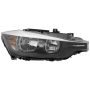 Eagle EyesBM168-B101R Headlight Assembly