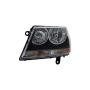 Eagle EyesCS259-B101LR Headlight Assembly