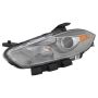 Eagle EyesCS359-B001L Headlight Lens Housing