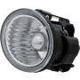 Eagle EyesDS559-B000L Fog Light Assembly