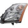 Eagle EyesDS633-B101LR Headlight Assembly