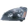 Eagle EyesDS661-B101R Headlight Lens Housing
