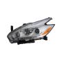 Eagle EyesDS755-B011L Headlight Assembly