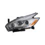 Eagle EyesDS755-B011LR Headlight Assembly