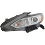 Eagle EyesDS761-B101L Headlight Assembly
