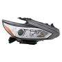 Eagle EyesDS761-B101R Headlight Assembly