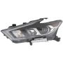 Eagle EyesDS765-B101L Headlight Assembly