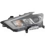 Eagle EyesDS765-B101LR Headlight Assembly