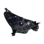 Eagle EyesDS797-B101LR Headlight Assembly