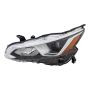 Eagle EyesDS807-B001R Headlight Assembly