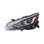 Eagle EyesDS807-B111L Headlight Assembly