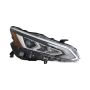Eagle EyesDS807-B111R Headlight Assembly