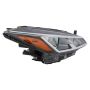 Eagle EyesDS834-B101R Headlight Assembly