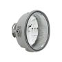 Eagle EyesFR539-U000R Fog Light Lens / Housing