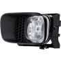 Eagle EyesFR550-B000L Fog Light Assembly