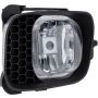 Eagle EyesFR550-B000L Fog Light Assembly