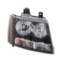 Eagle EyesGM389-B101RCA Headlight Assembly