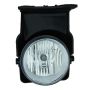 Eagle EyesGM510-B100R Fog Light Assembly