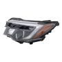 Eagle EyesHD667-B101L Headlight Assembly