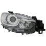 Eagle EyesMZ263-A101R Headlight Lens Housing
