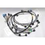 Rywire Honda S2000 AP1/AP2 (Early) Mil-Spec Engine Harness