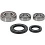 Pivot Works 25-1393-P Kawasaki, Suzuki Wheel Bearing Kit Premium Bearings