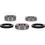 Pivot Works 25-1556-P Sherco Wheel Bearing Kit Premium Bearings